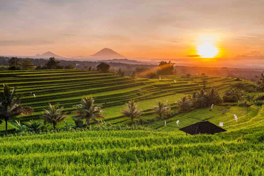 Stunning sunset over terraced rice fields in Bali with mountain views.